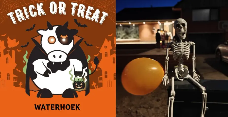 Halloween - Trick or Treat 🎃