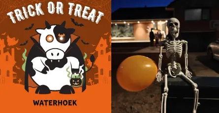 Halloween - Trick or Treat 🎃